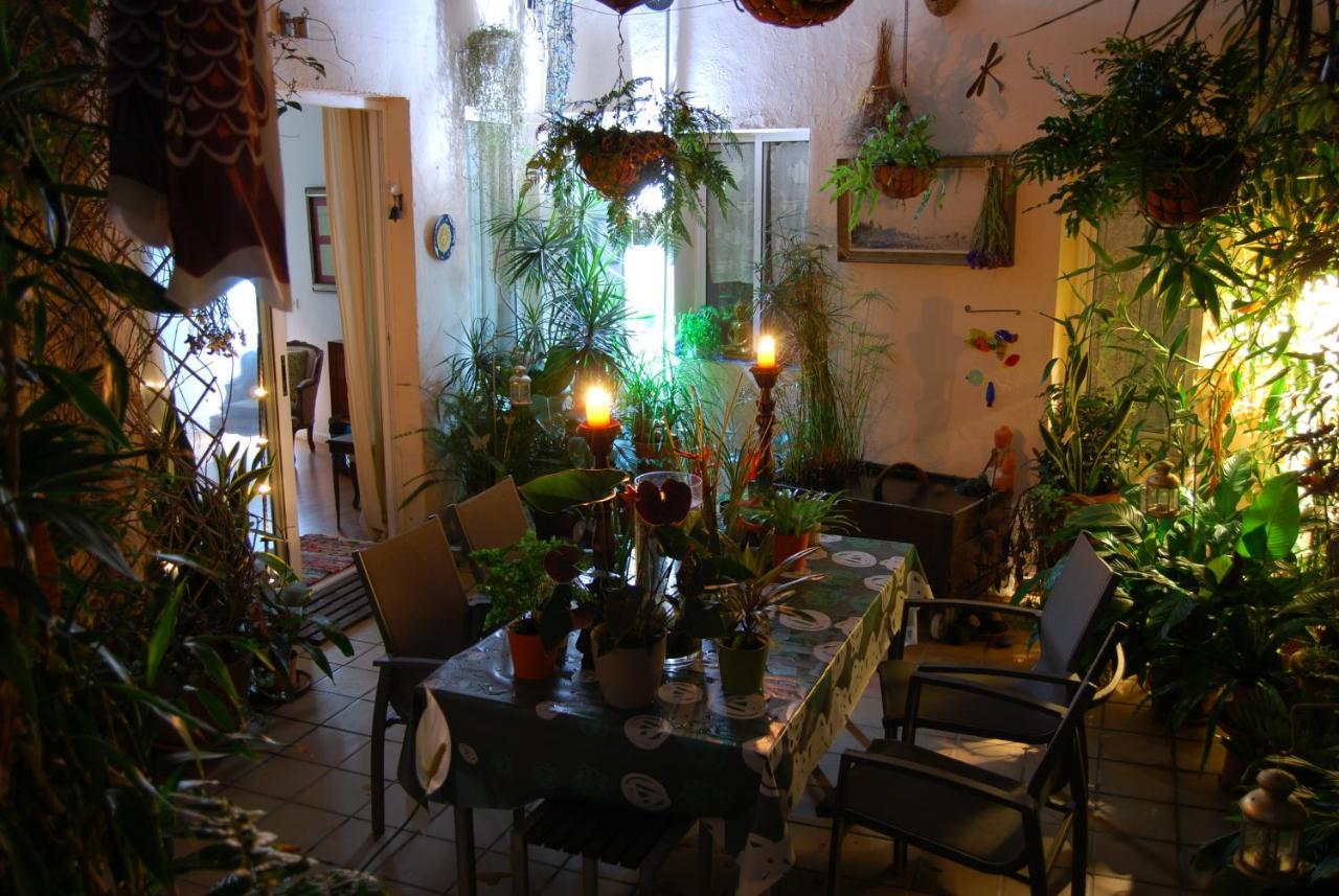 Casa Tesalia Villa Guimar Bagian luar foto